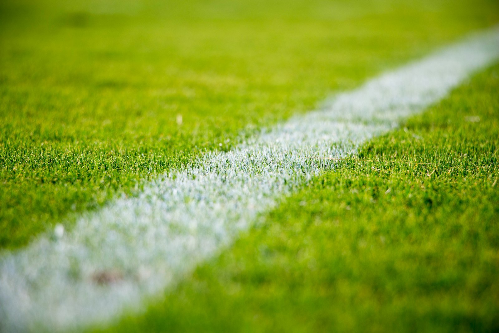 Artificial Grass Installation example 5 – South Wales Tree and Landscapes