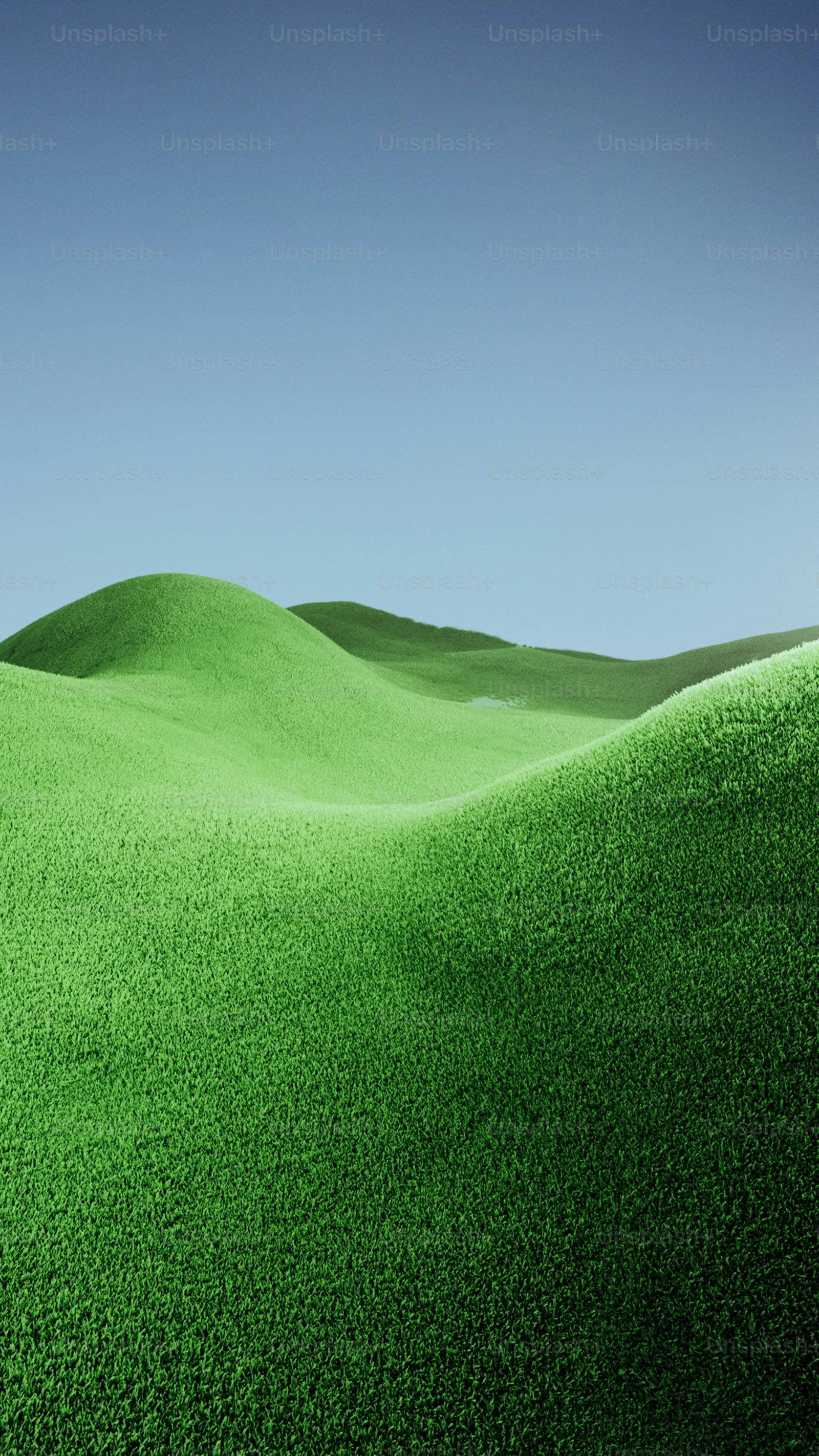 Artificial Grass Installation example 6 – South Wales Tree and Landscapes