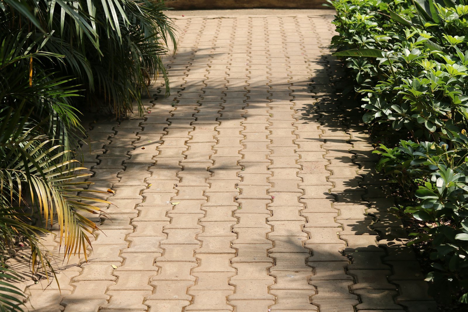 Block Paving example 2 – South Wales Tree and Landscapes