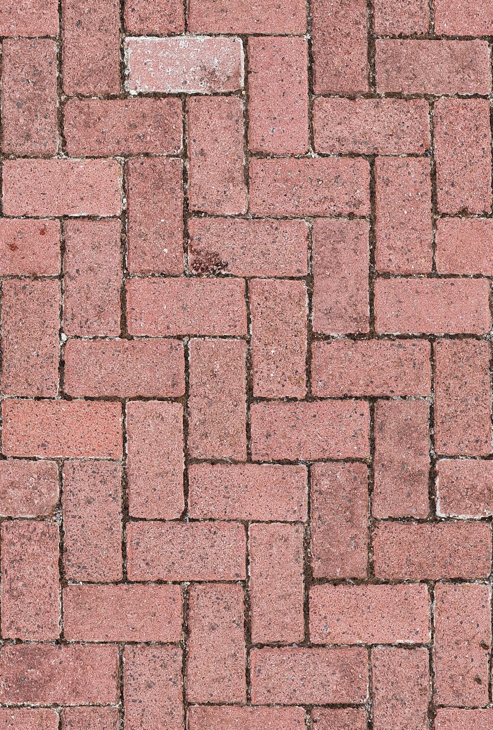 Block Paving example 4 – South Wales Tree and Landscapes