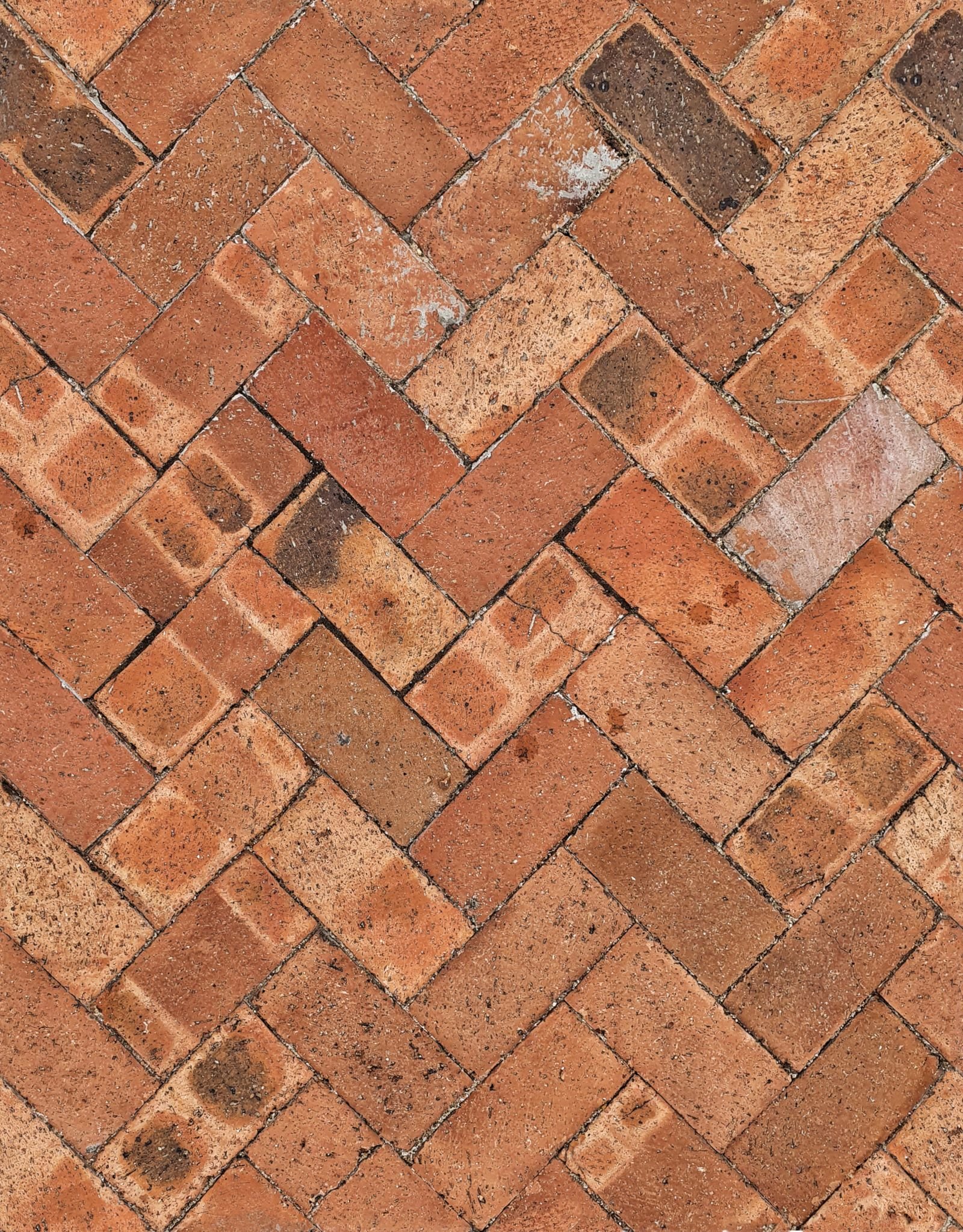Block Paving example 5 – South Wales Tree and Landscapes