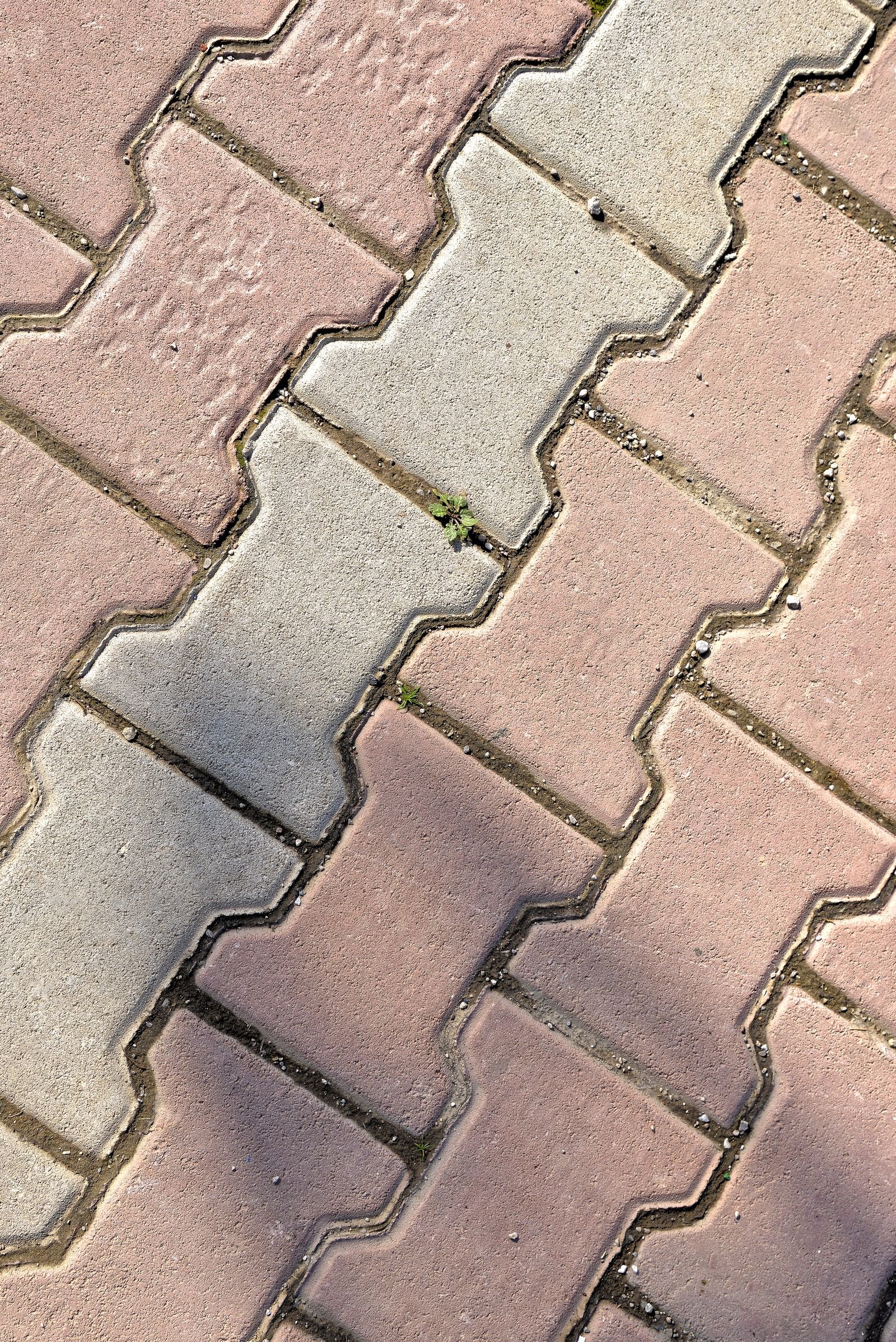 Block Paving example 6 – South Wales Tree and Landscapes