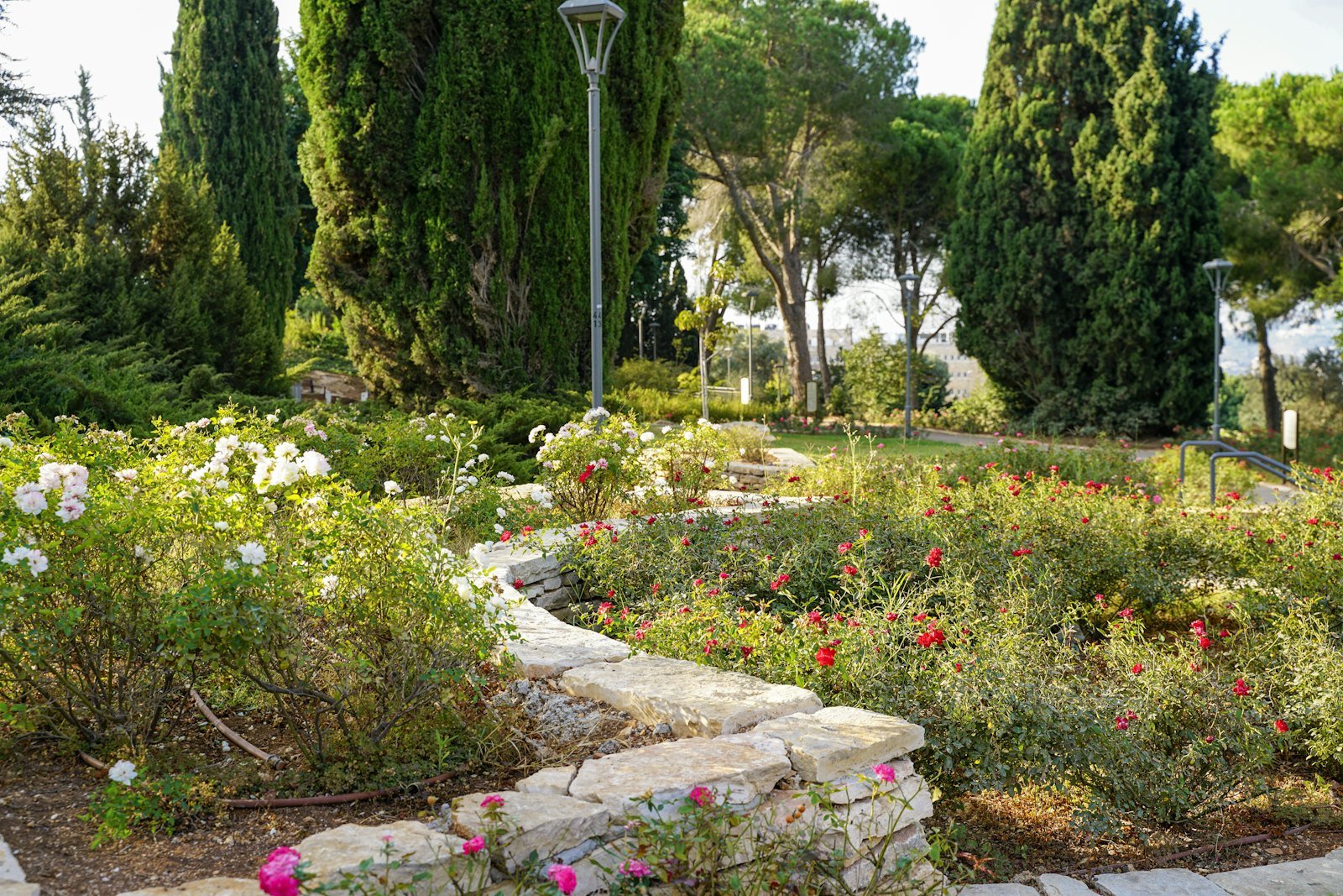Decorative Stone & Gravel example 5 – South Wales Tree and Landscapes