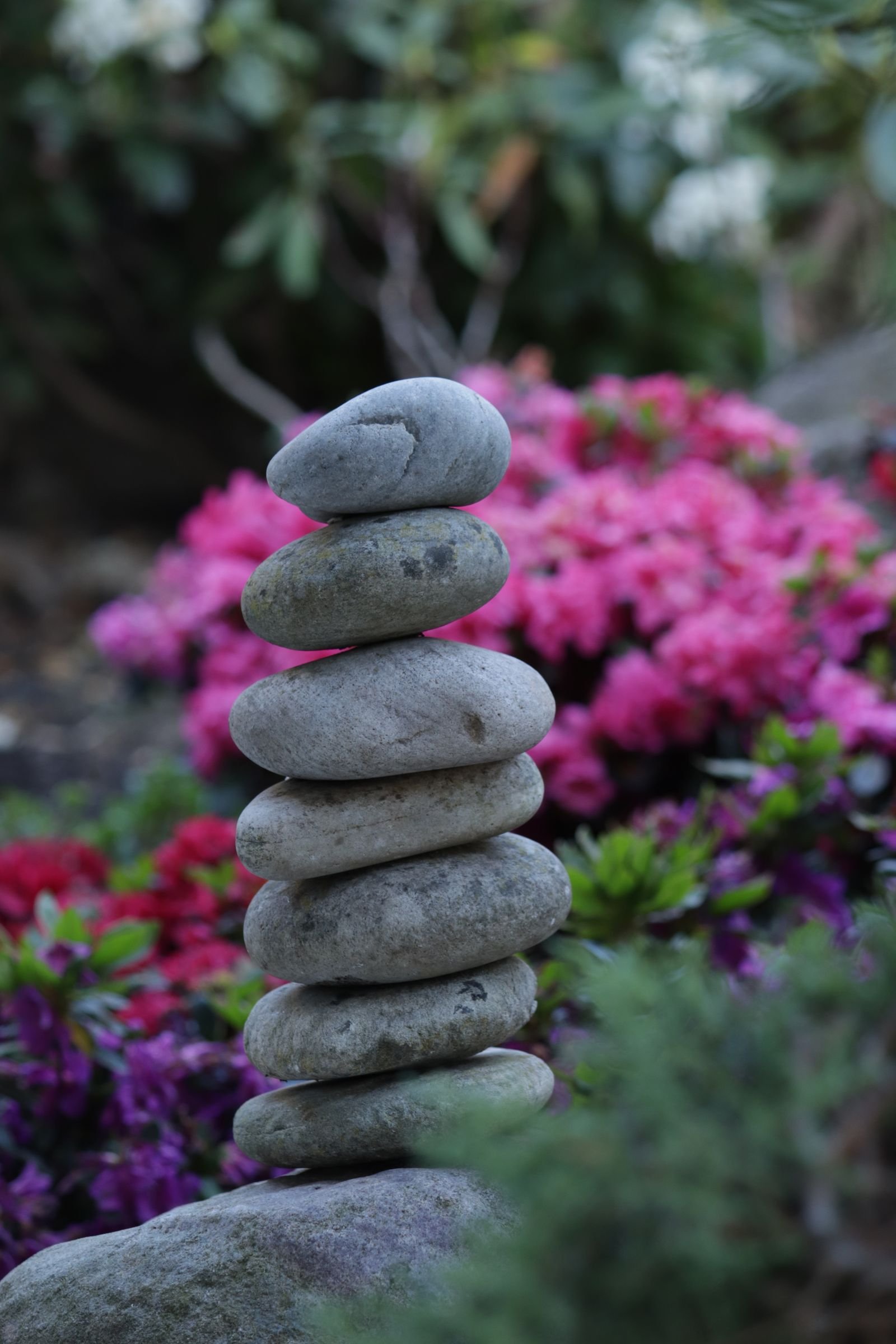 Decorative Stone & Gravel example 6 – South Wales Tree and Landscapes