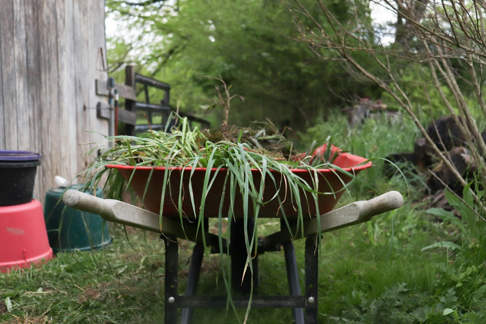 Garden Clearances