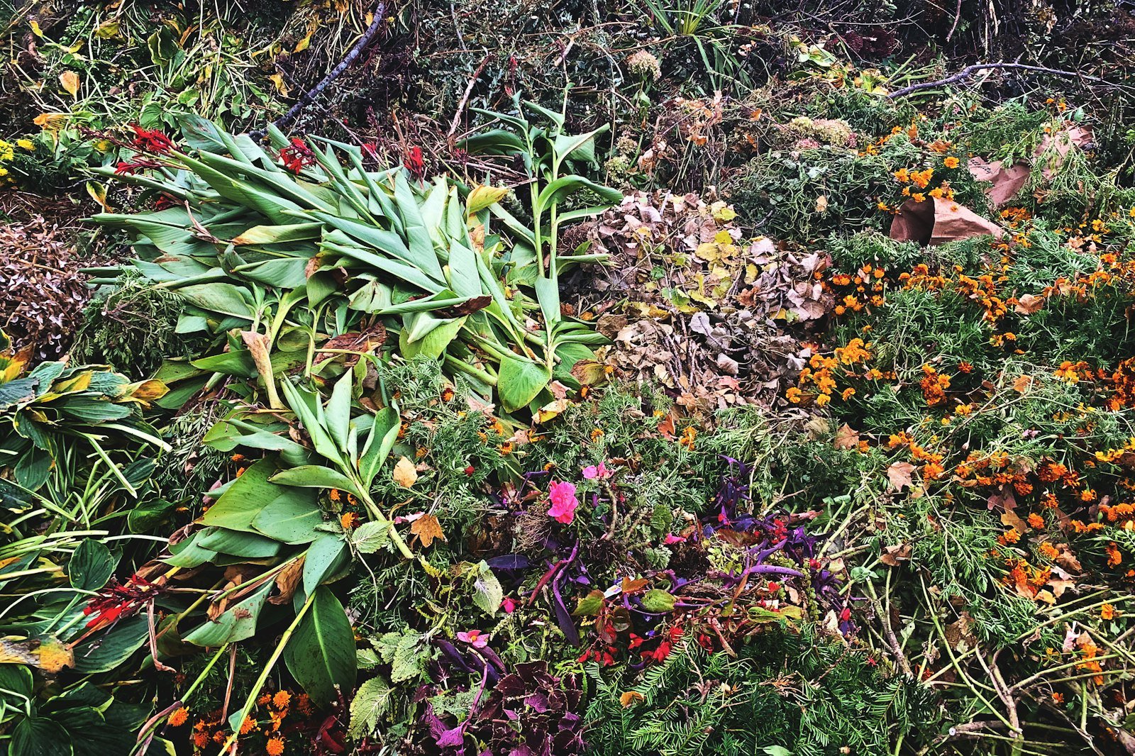 Garden Clearances example 2 – South Wales Tree and Landscapes