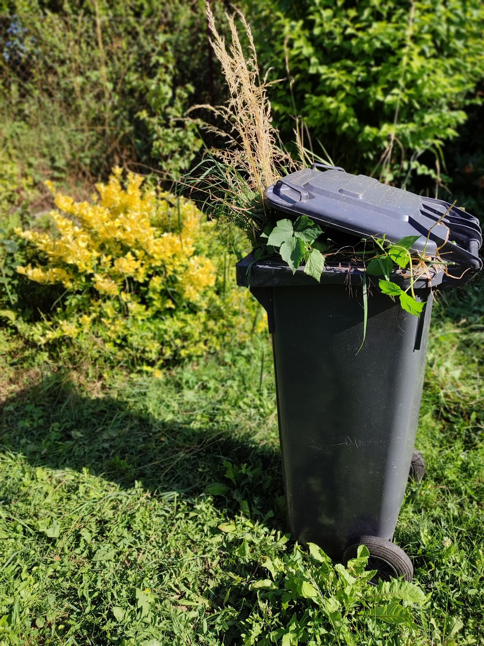 Garden Clearances example 5 – South Wales Tree and Landscapes