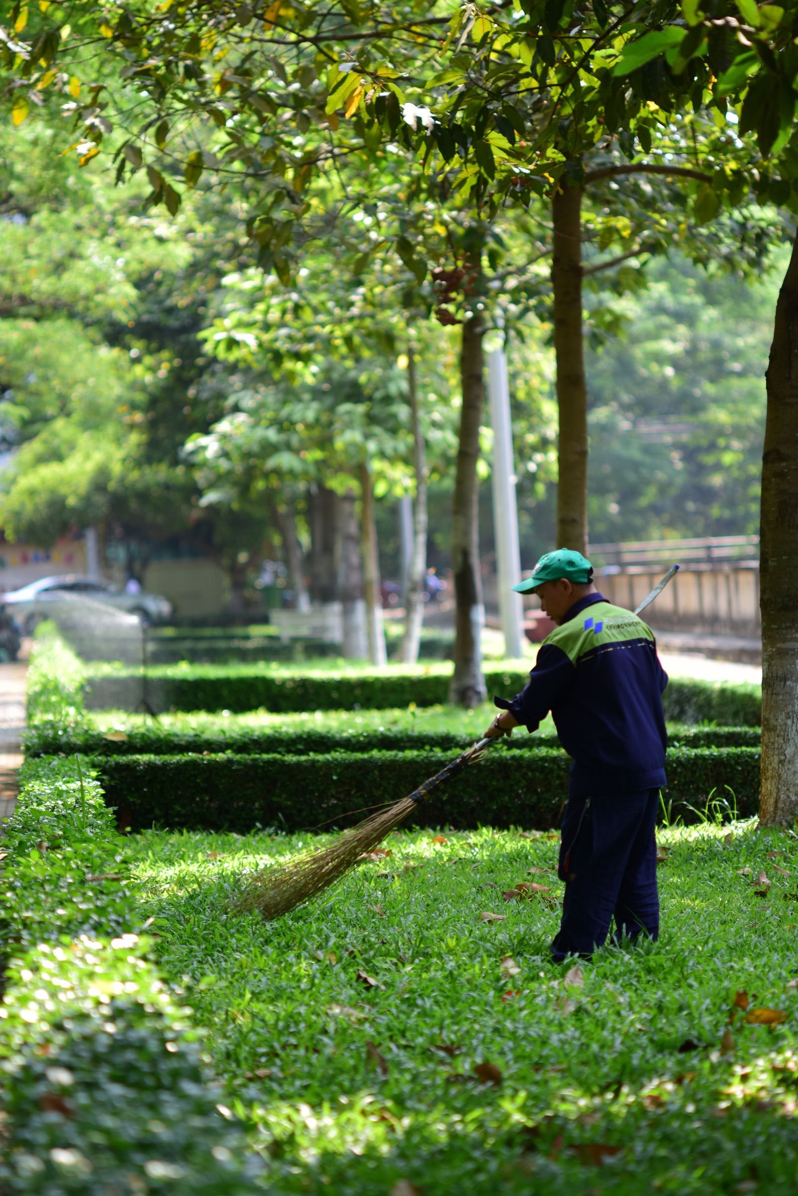 General Garden Maintenance example 4 – South Wales Tree and Landscapes