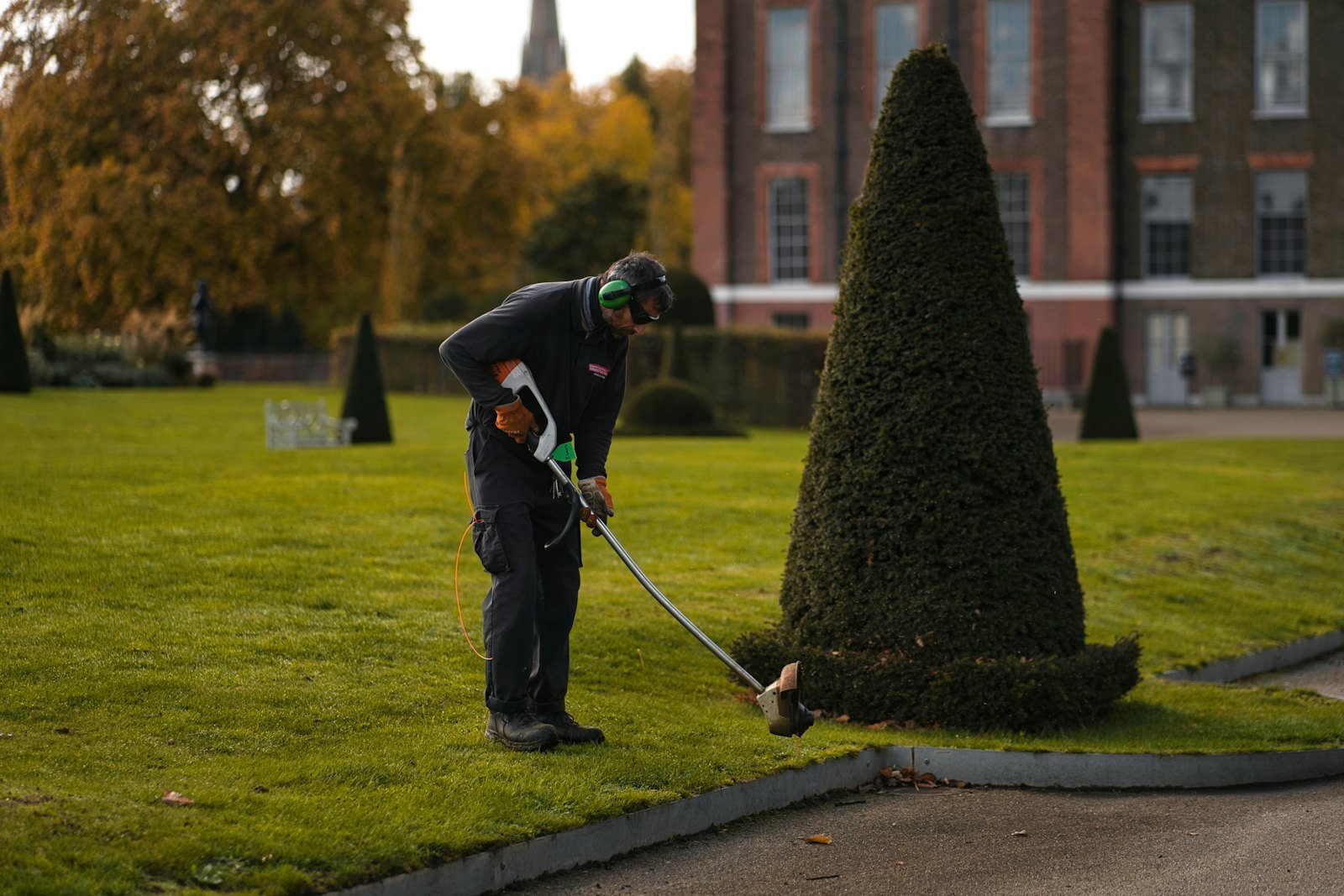 Hedge Cutting & Maintenance