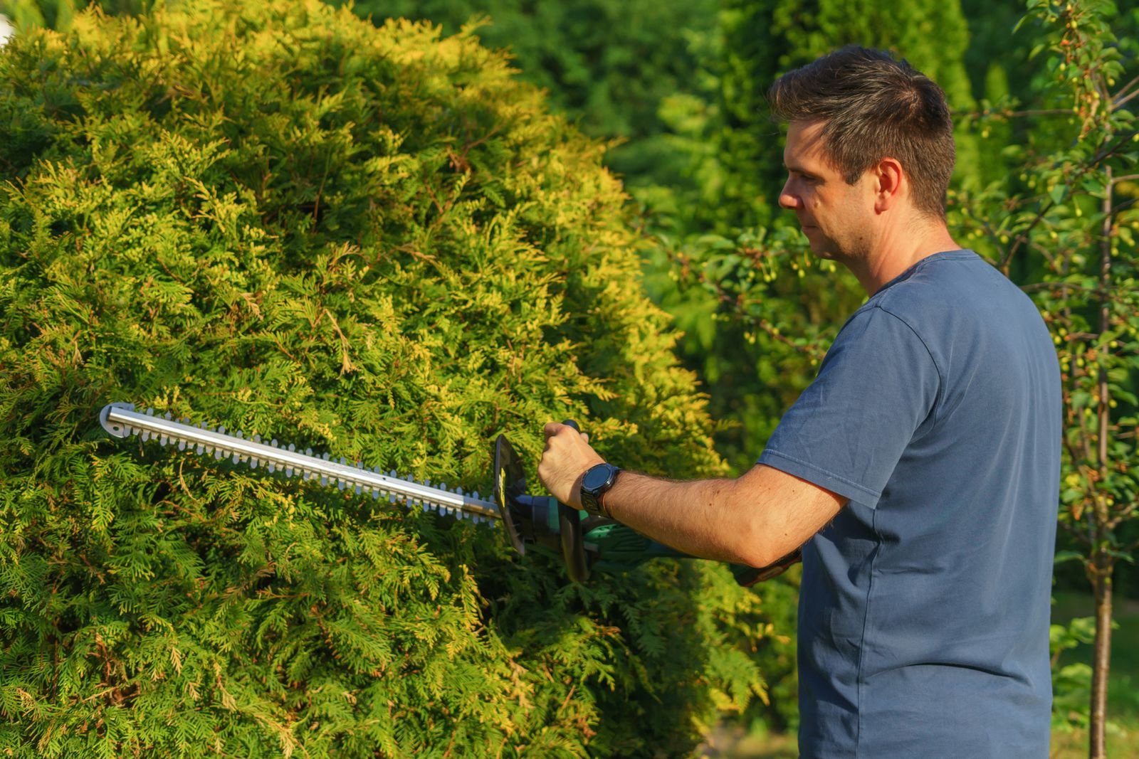 Hedge Cutting & Maintenance example 4 – South Wales Tree and Landscapes