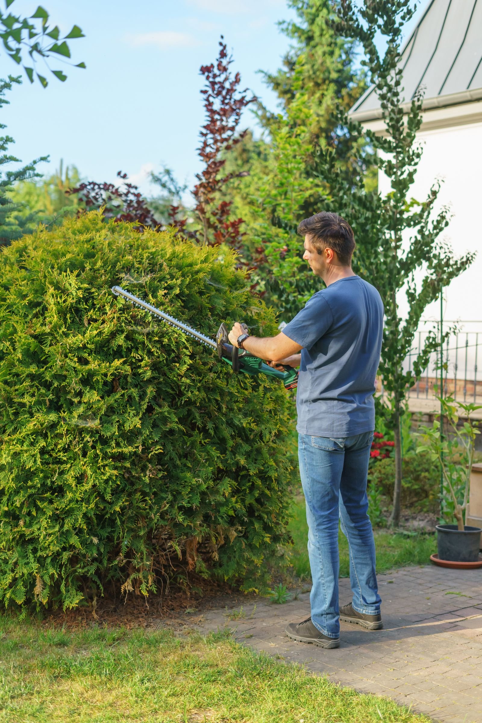 Hedge Cutting & Maintenance example 5 – South Wales Tree and Landscapes