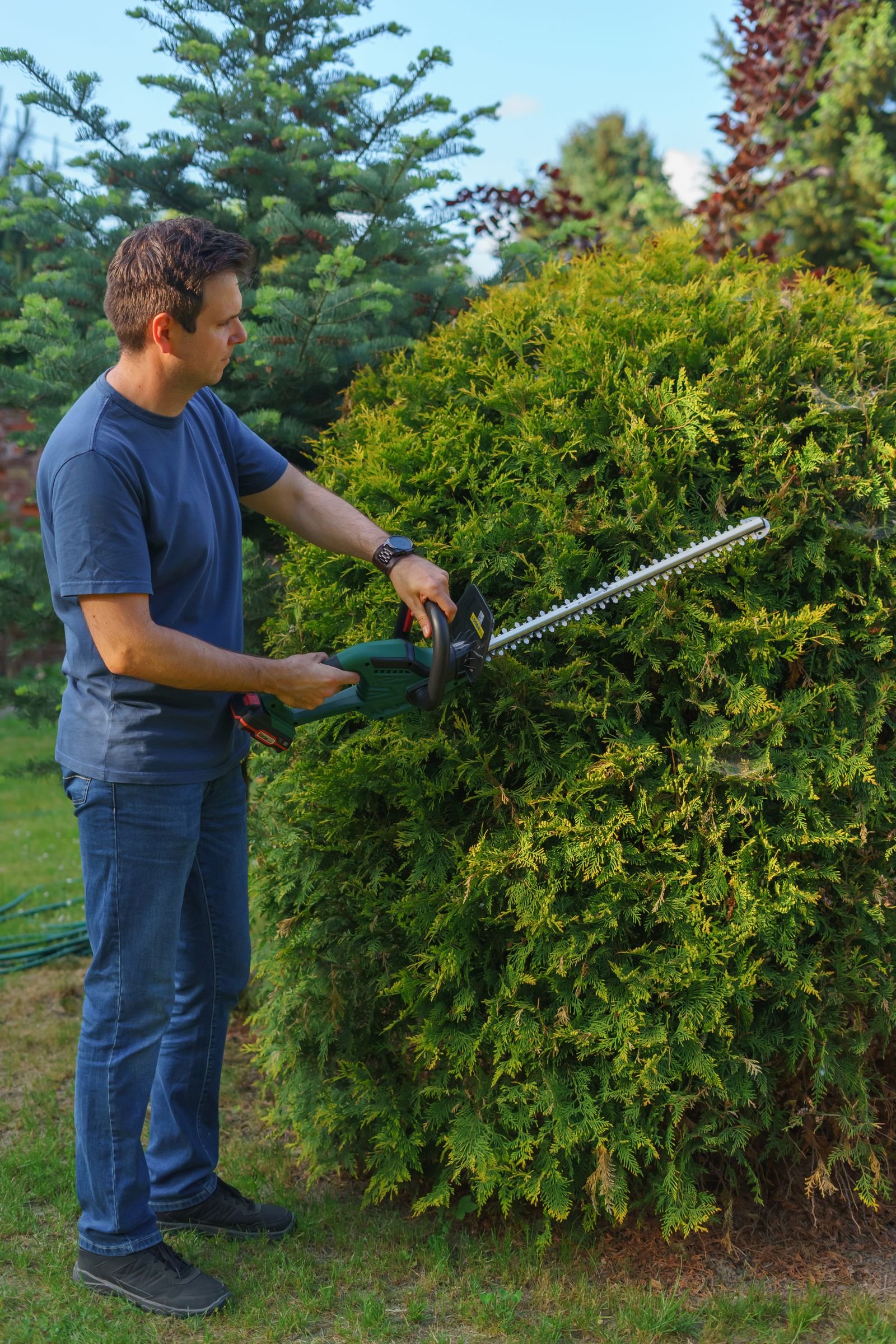 Hedge Cutting & Maintenance example 6 – South Wales Tree and Landscapes