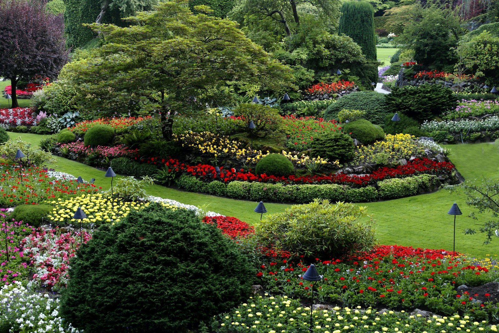 Landscaping