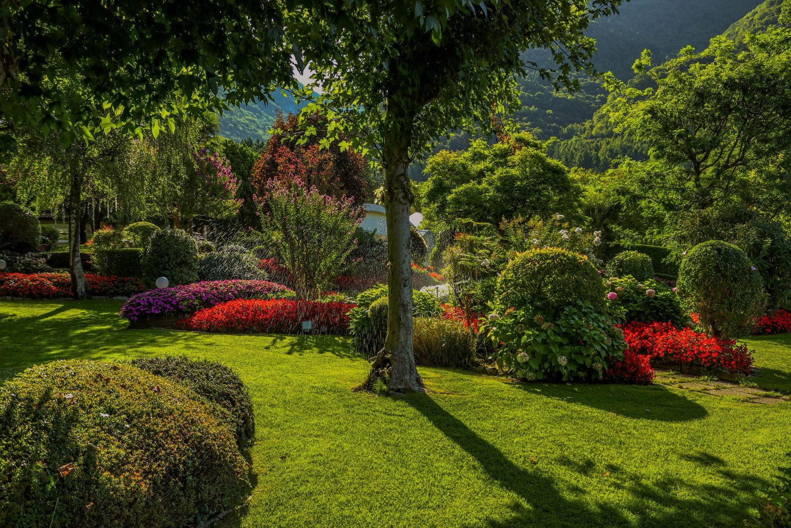 Landscaping example 5 – South Wales Tree and Landscapes