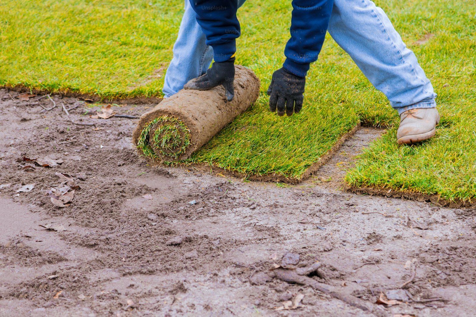 New Lawns & Turfing