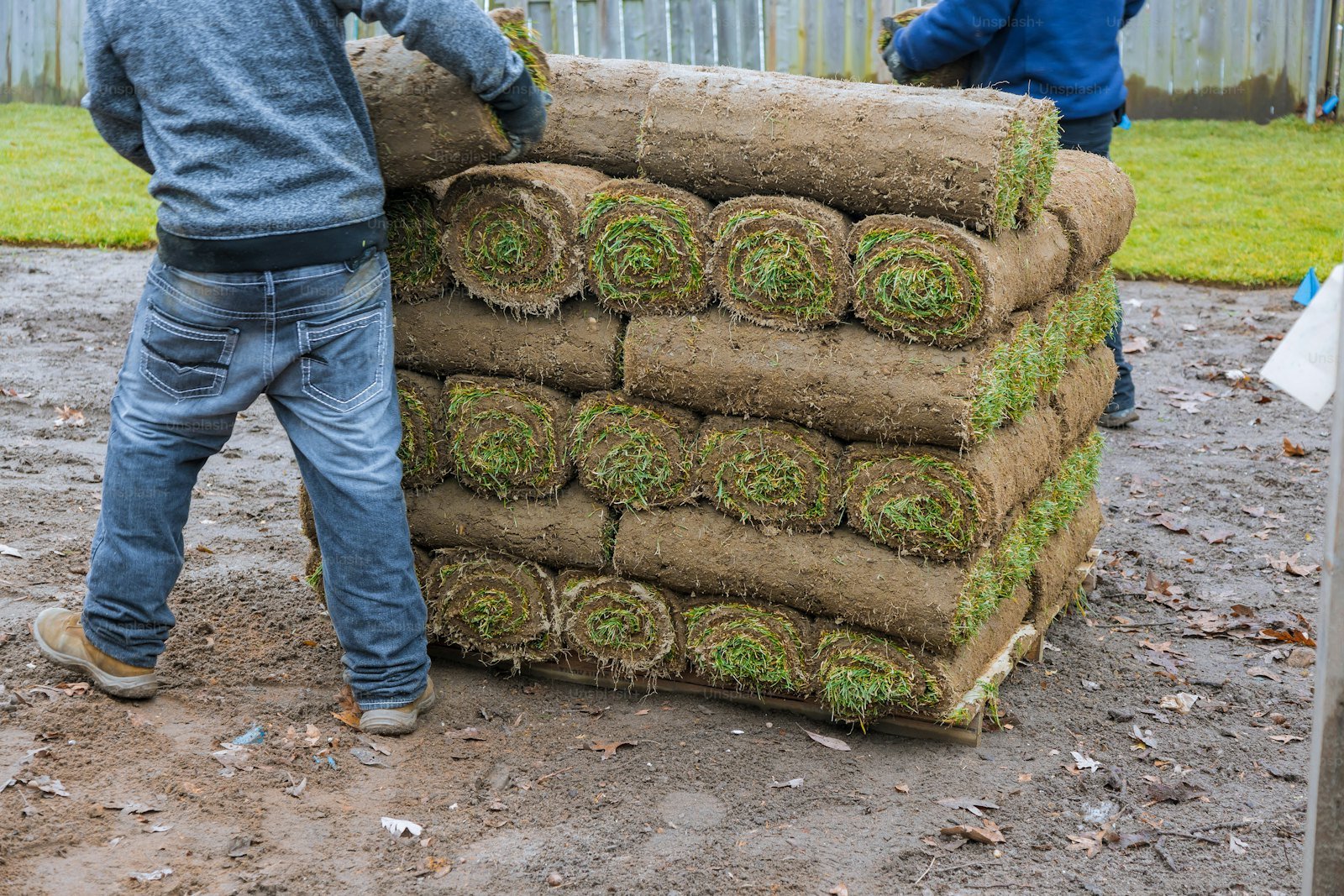 New Lawns & Turfing example 4 – South Wales Tree and Landscapes