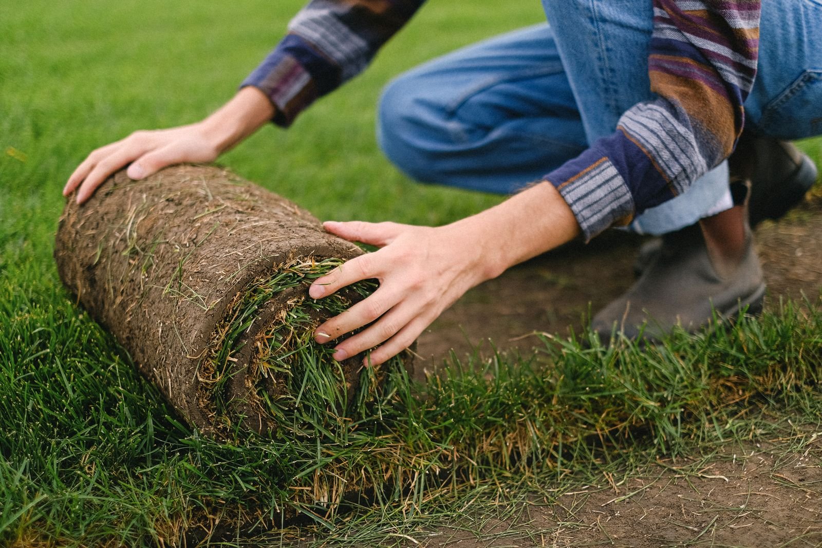 New Lawns & Turfing example 6 – South Wales Tree and Landscapes