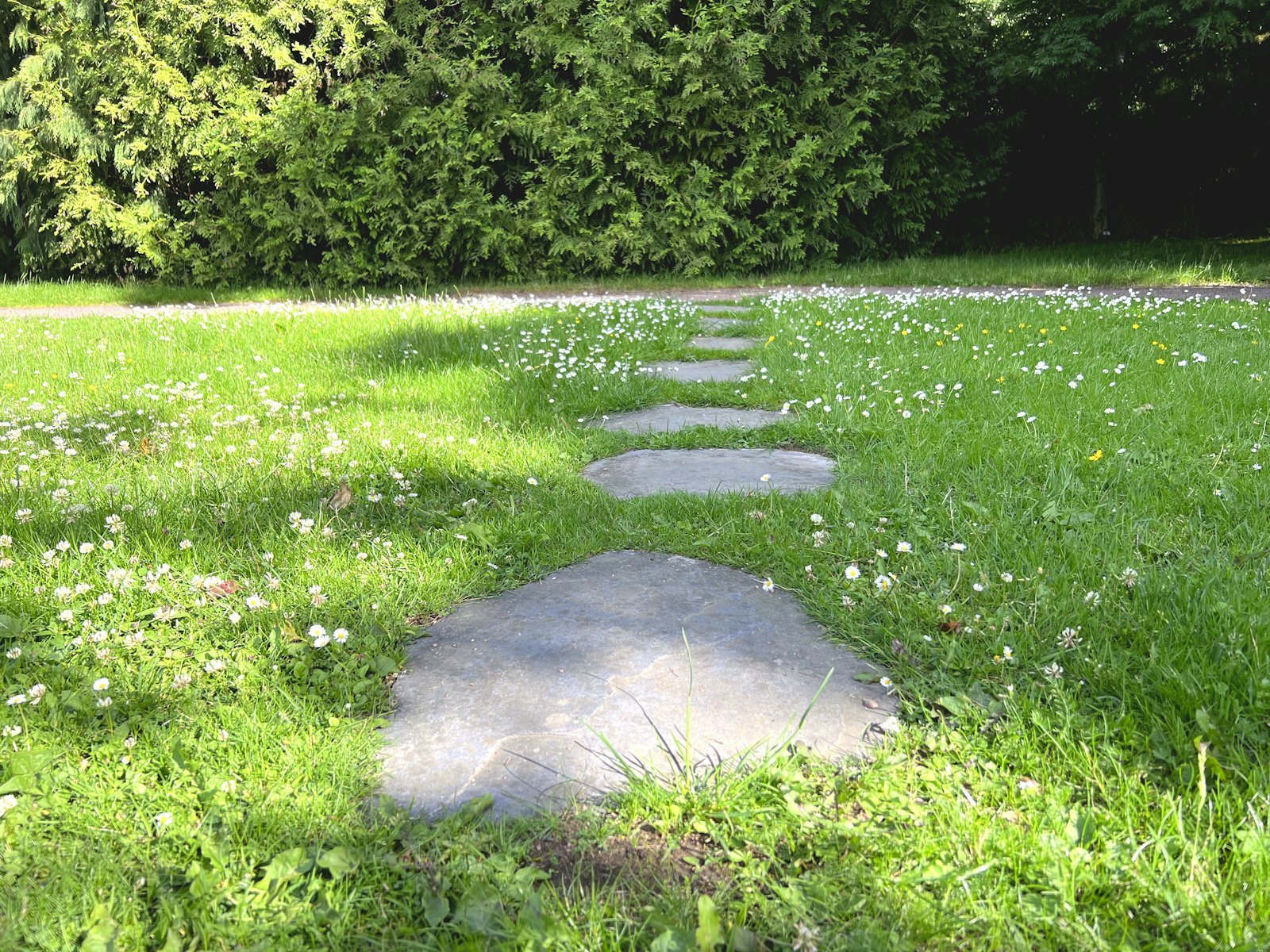 Patios & Pathways example 4 – South Wales Tree and Landscapes