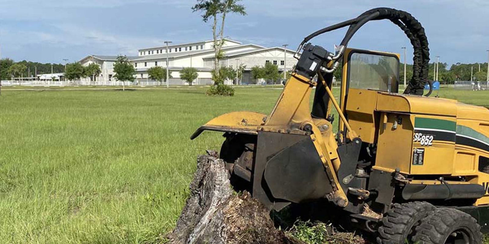 Stump Grinding & Removal example 2 – South Wales Tree and Landscapes