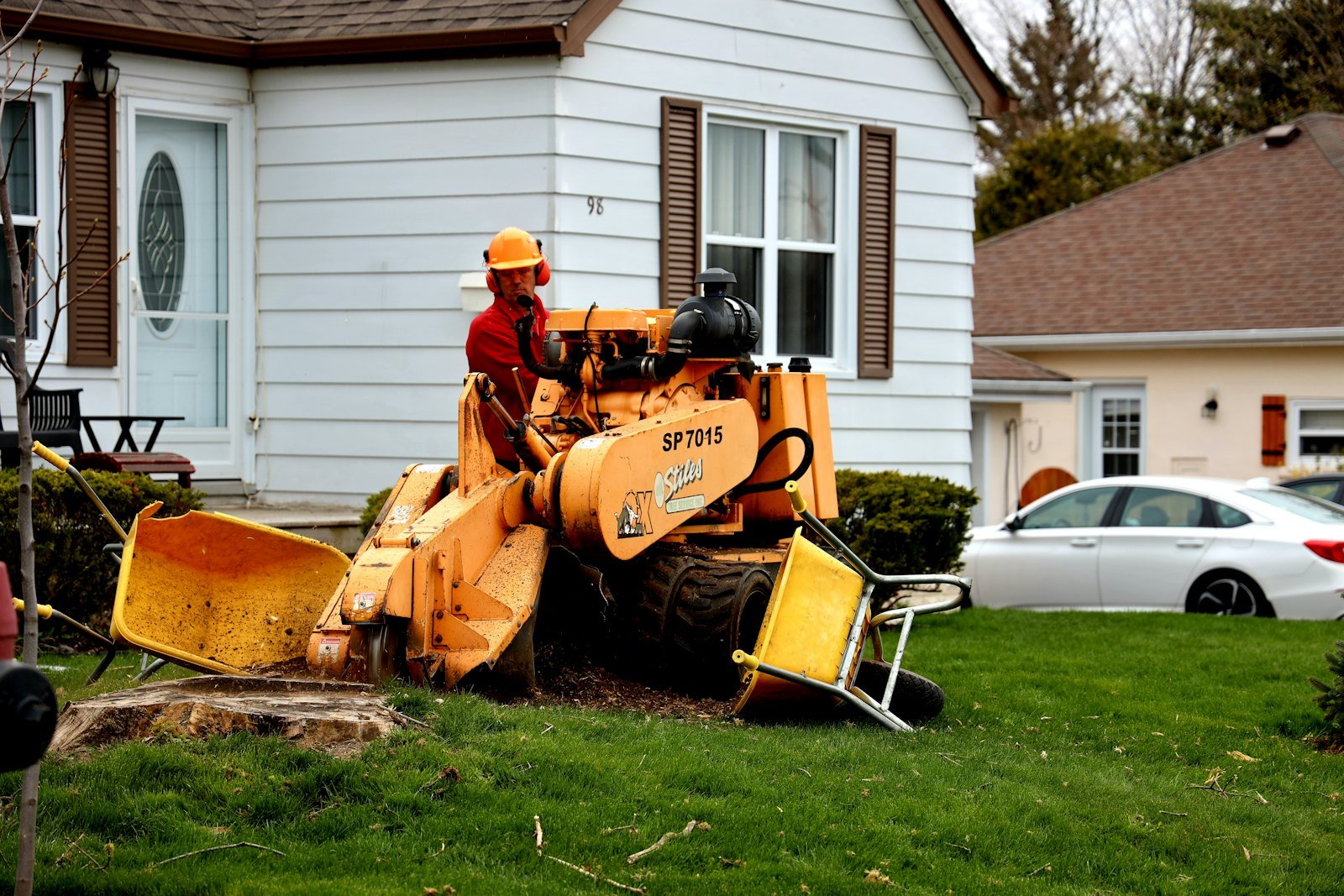 Stump Grinding & Removal example 4 – South Wales Tree and Landscapes
