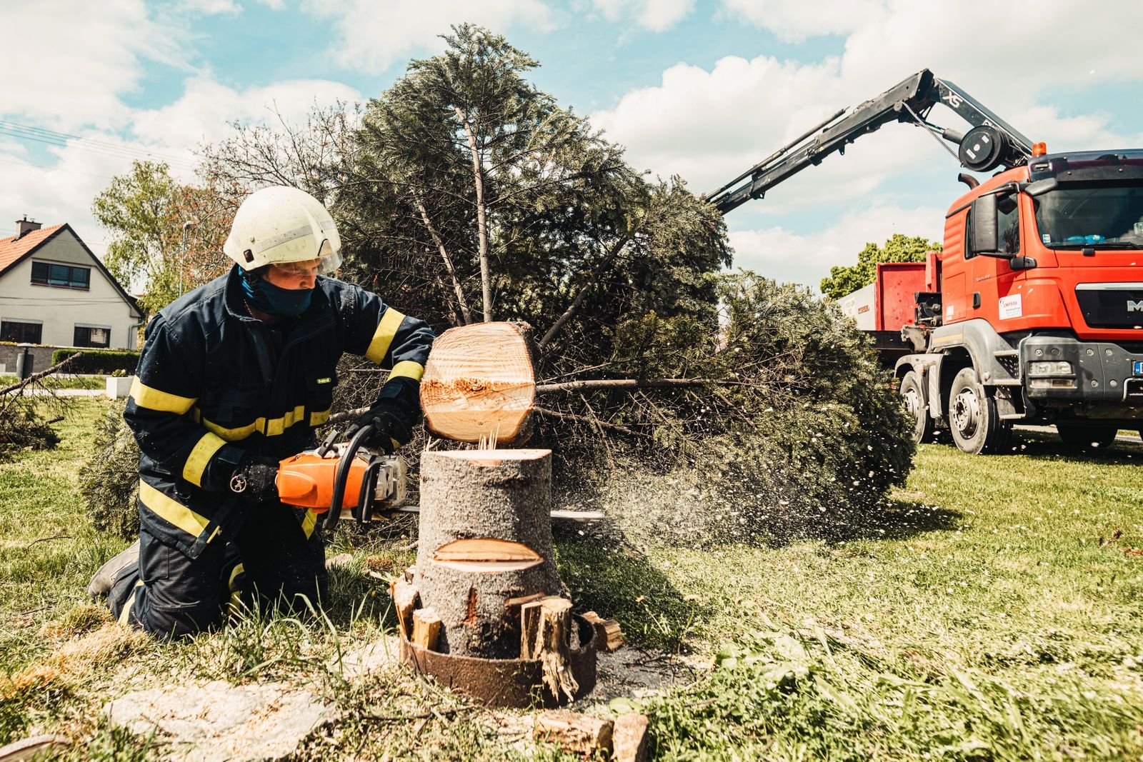 Tree Removal & Felling example 4 – South Wales Tree and Landscapes